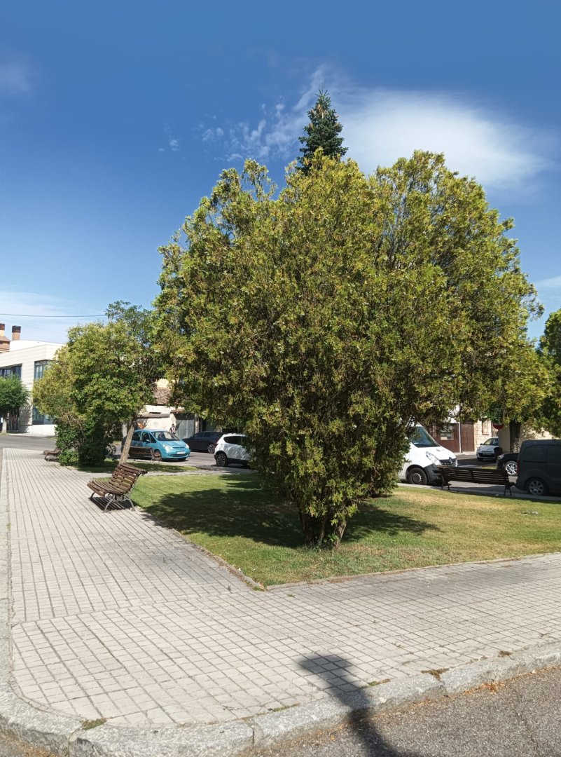 Casa Pueblo en Cantalejo