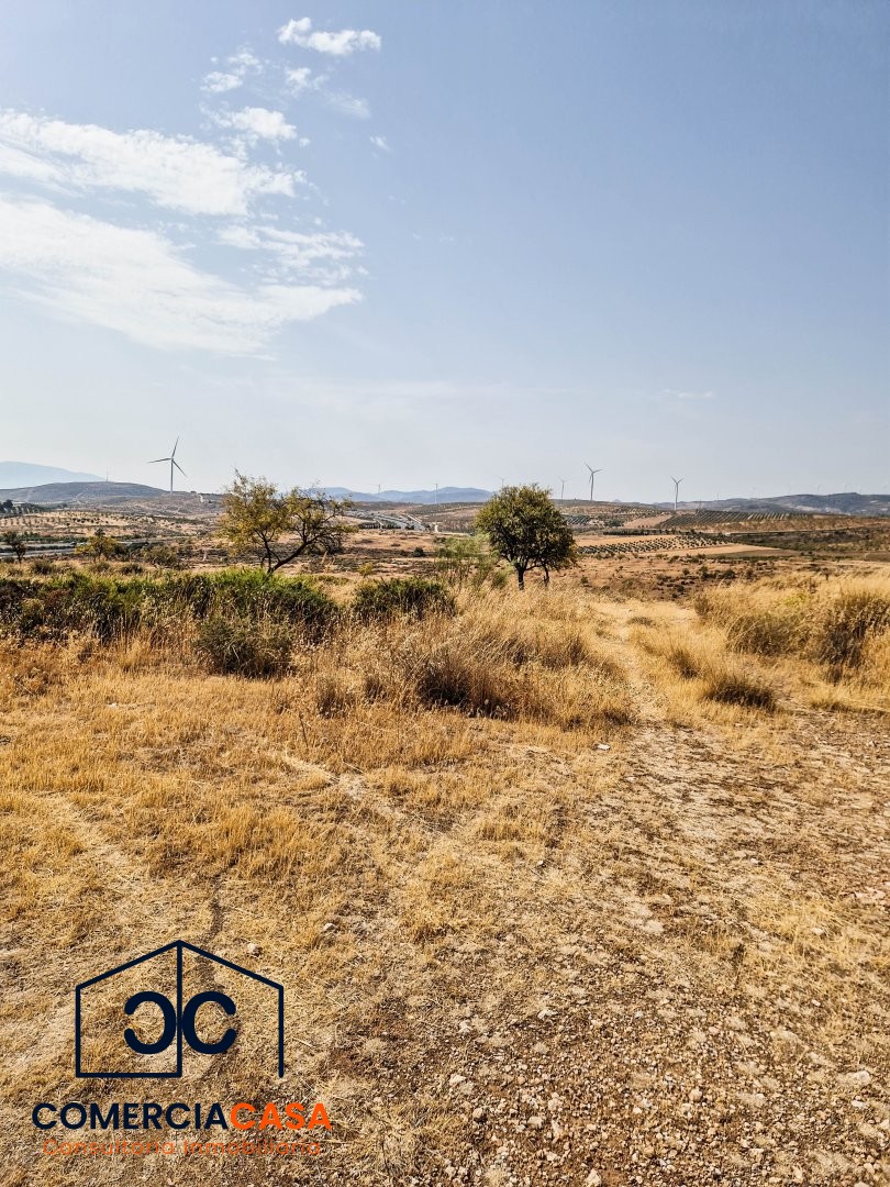 Finca Rustica en Padul