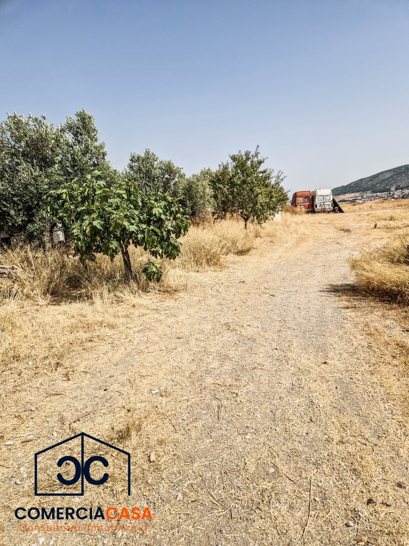 Finca Rustica en Padul
