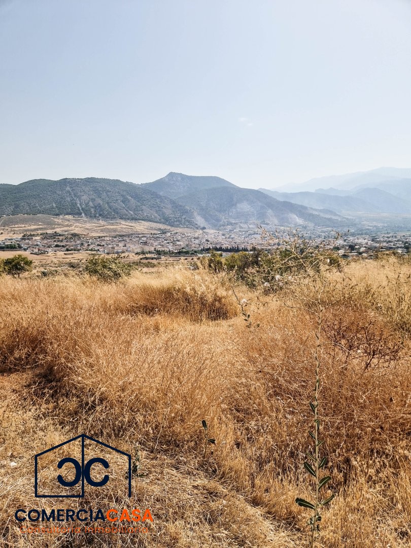 Finca Rustica en Padul