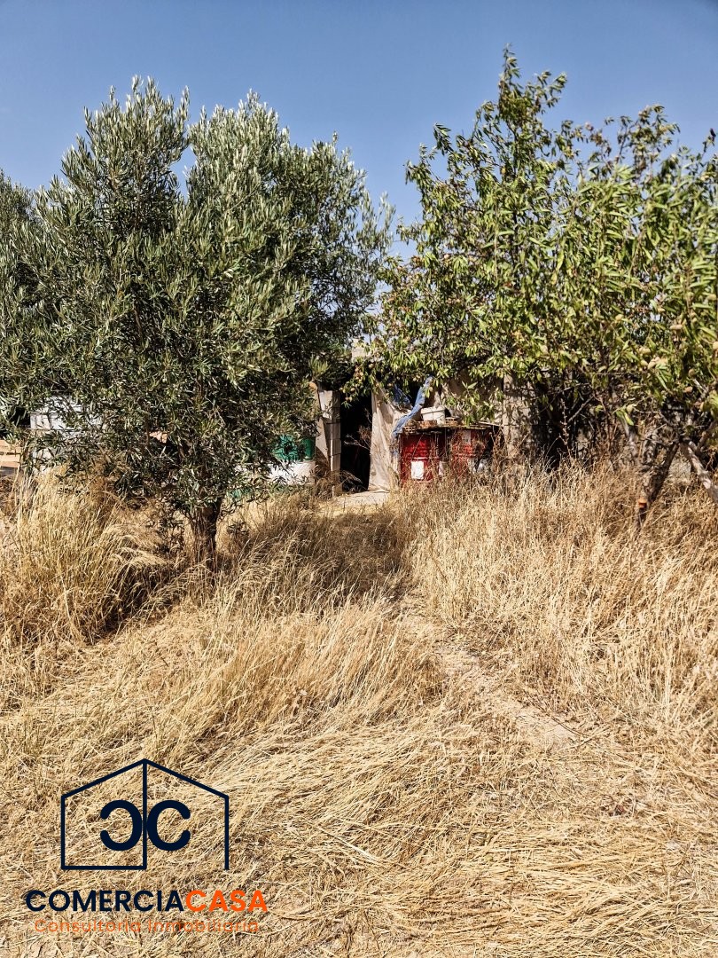Finca Rustica en Padul