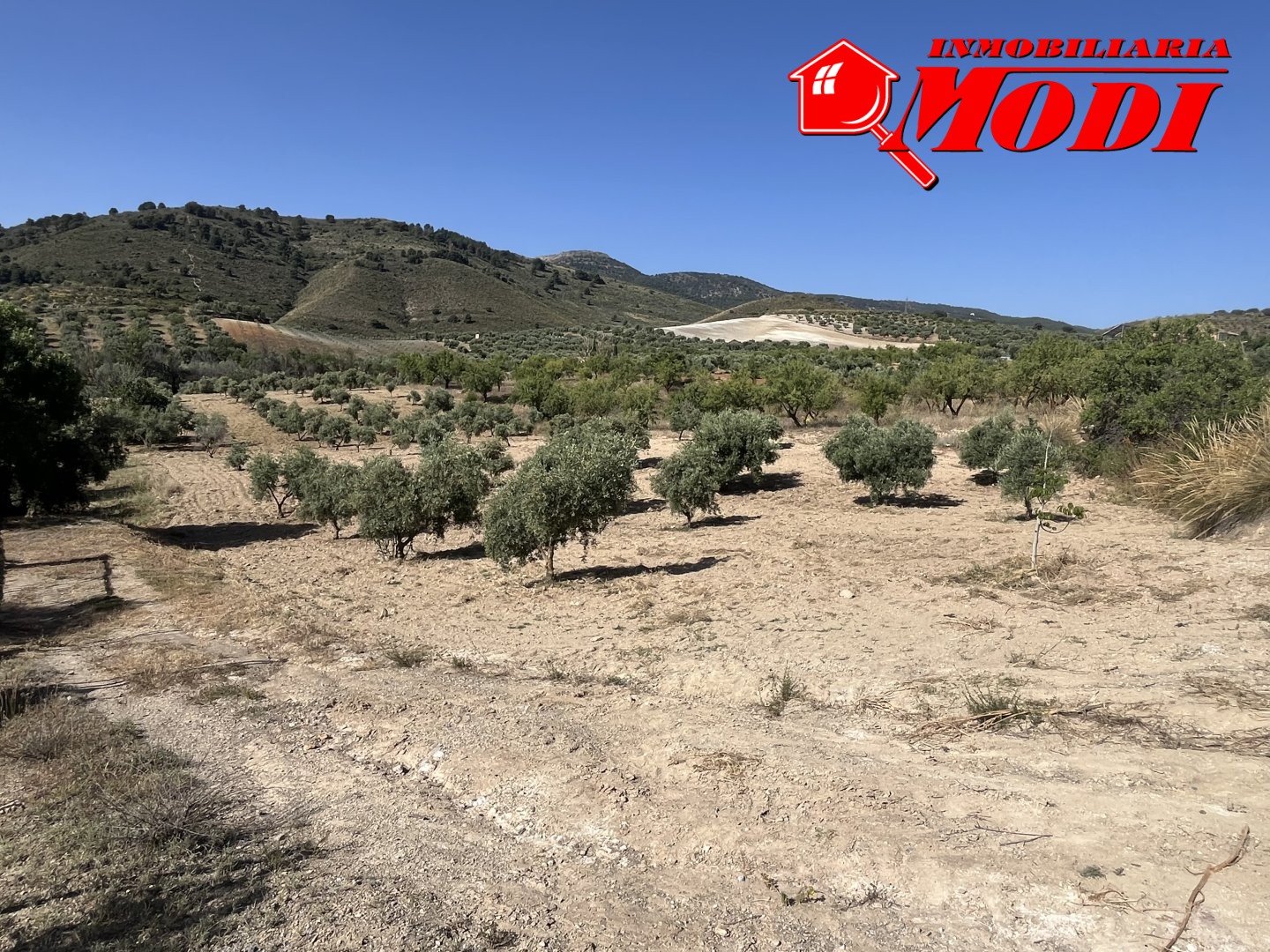 Finca Rústica en Padul