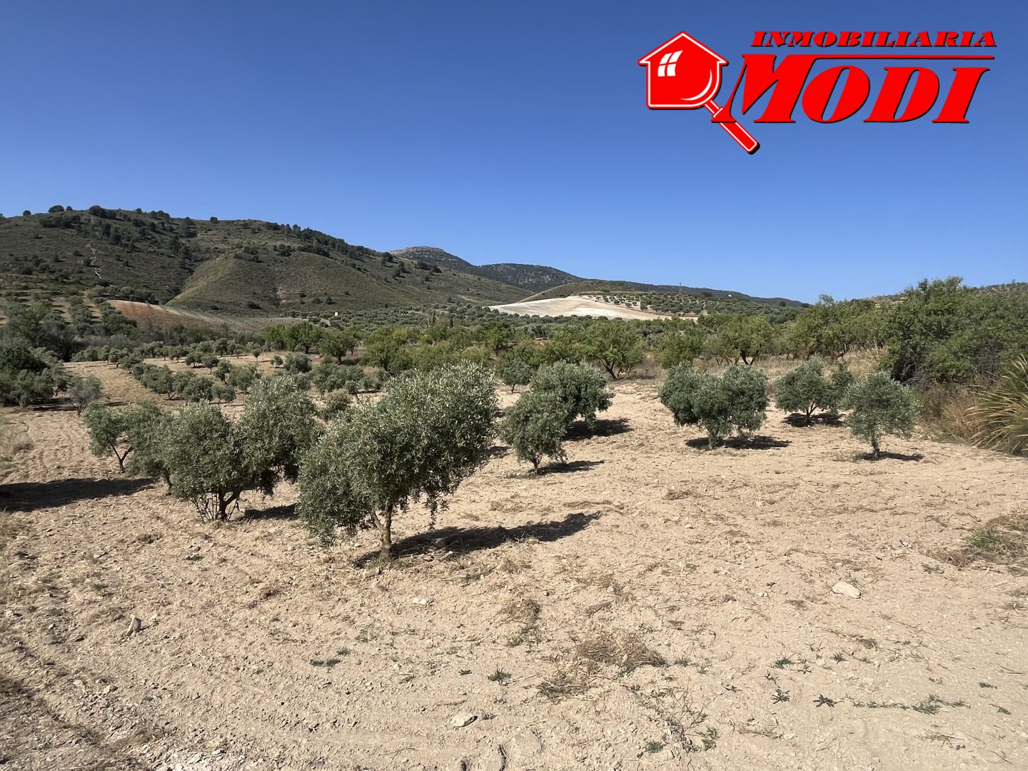 Finca Rústica en Padul