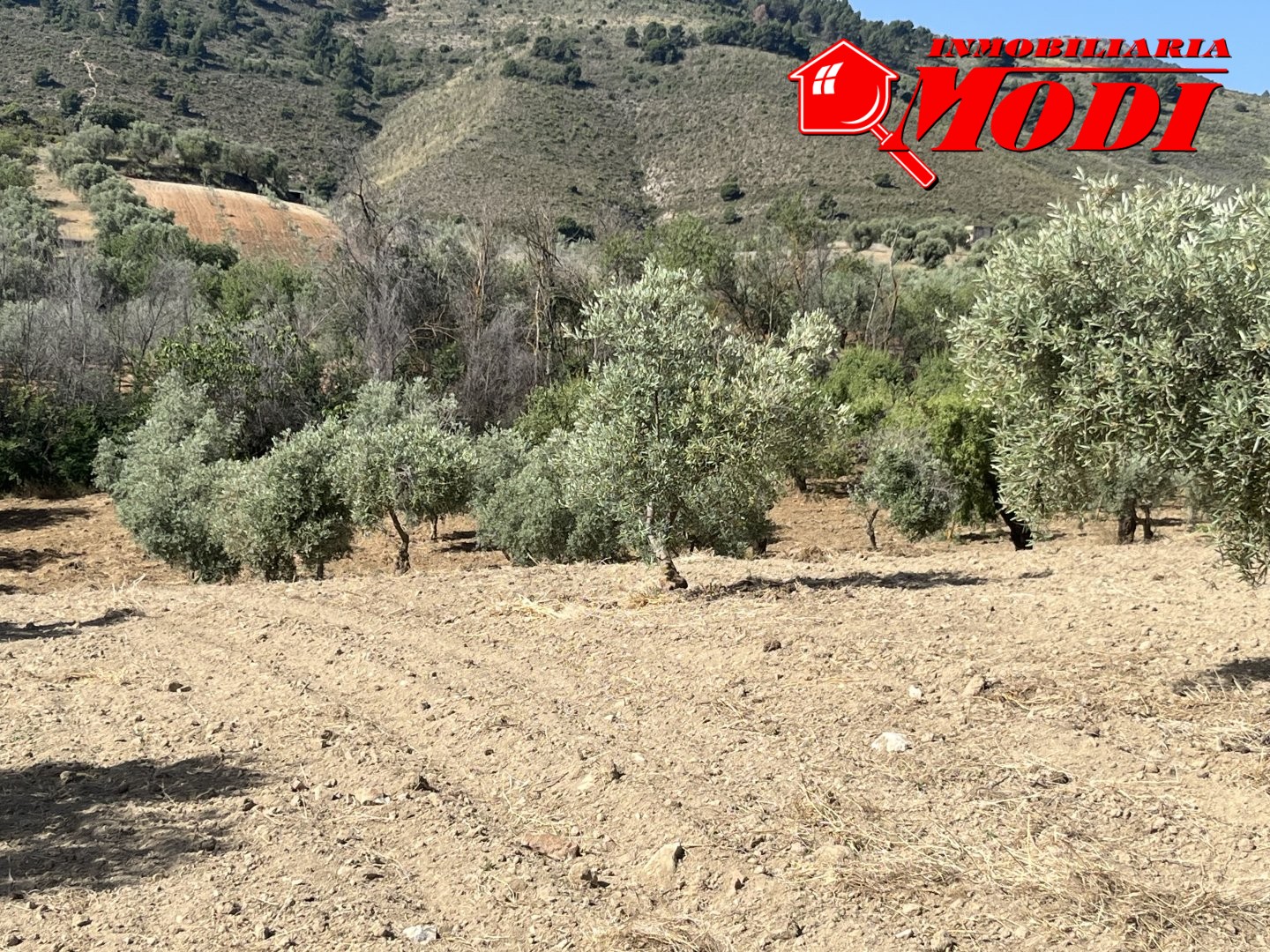 Finca Rústica en Padul