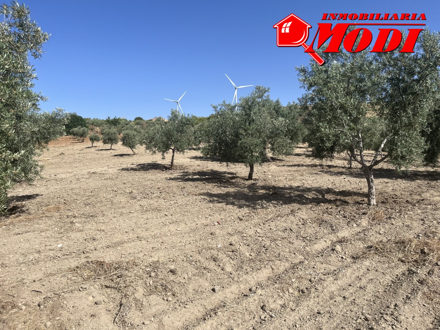Finca Rústica en Padul