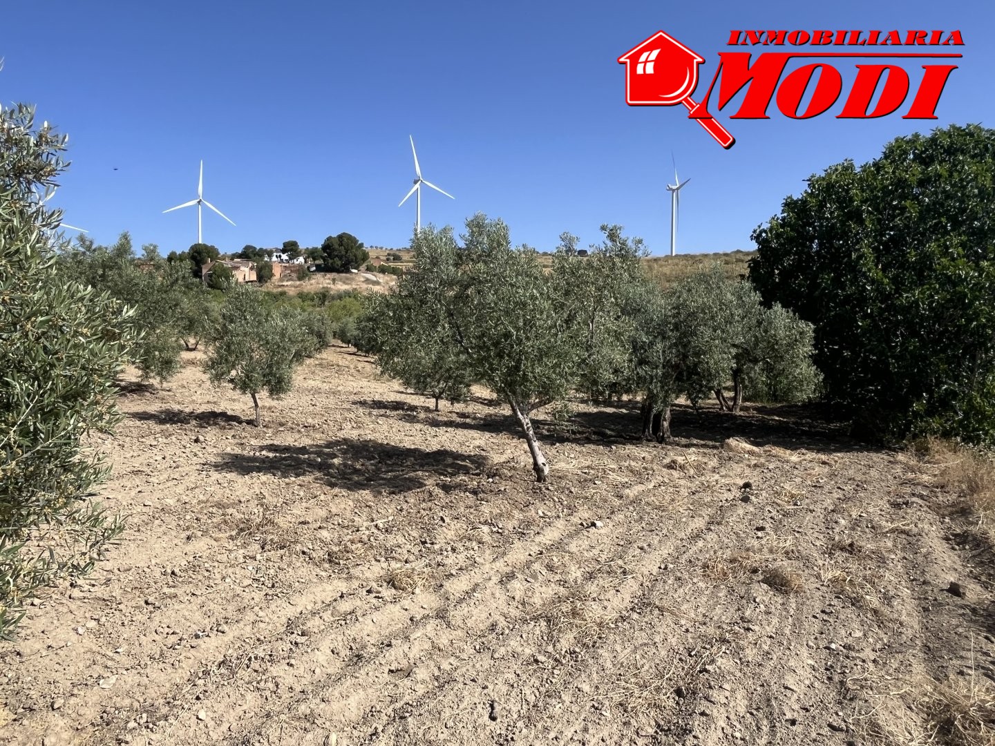 Finca Rústica en Padul