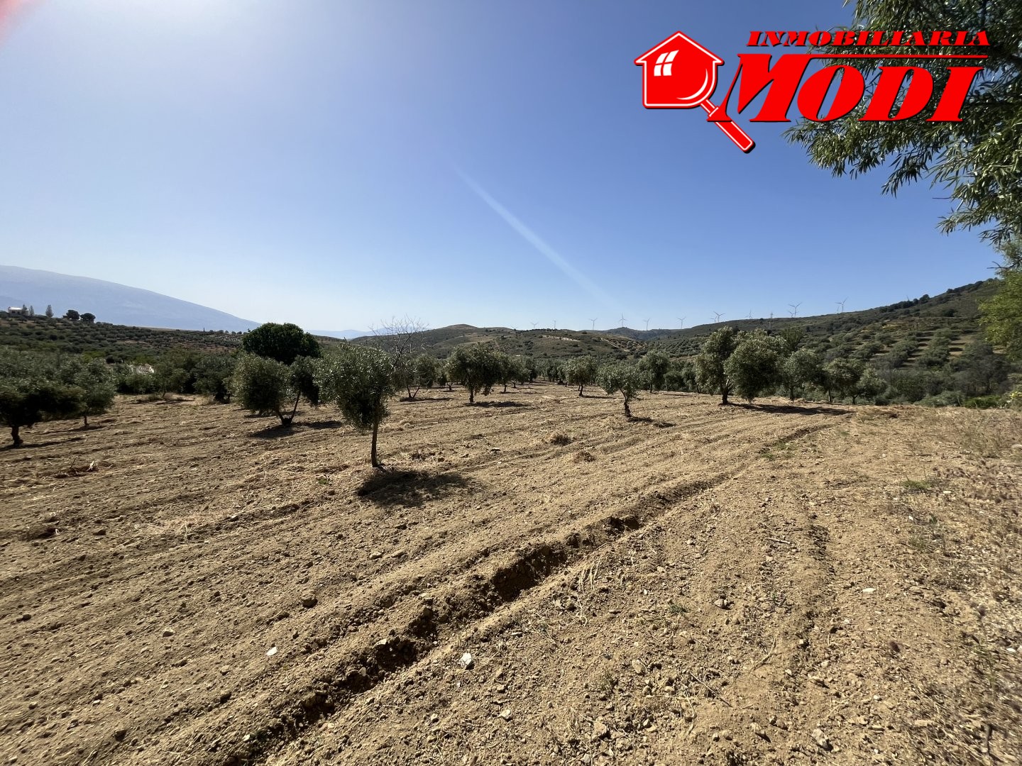 Finca Rústica en Padul