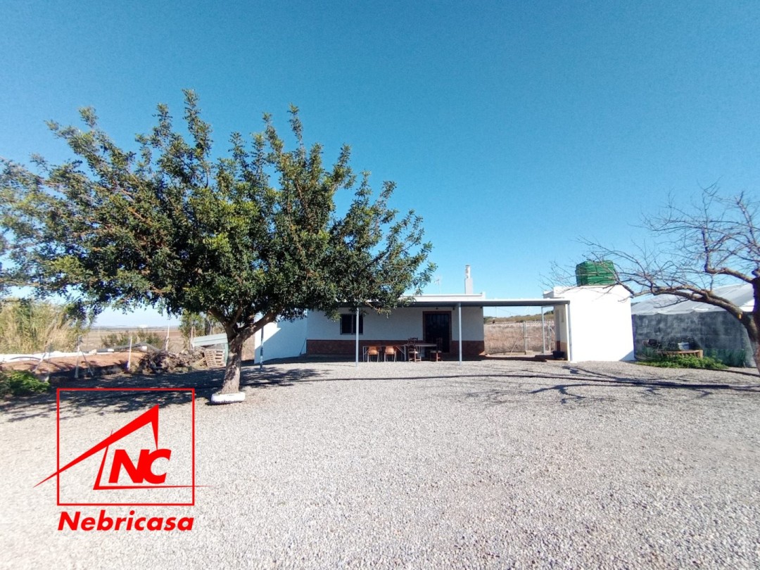 Finca en El Cuervo de Sevilla
