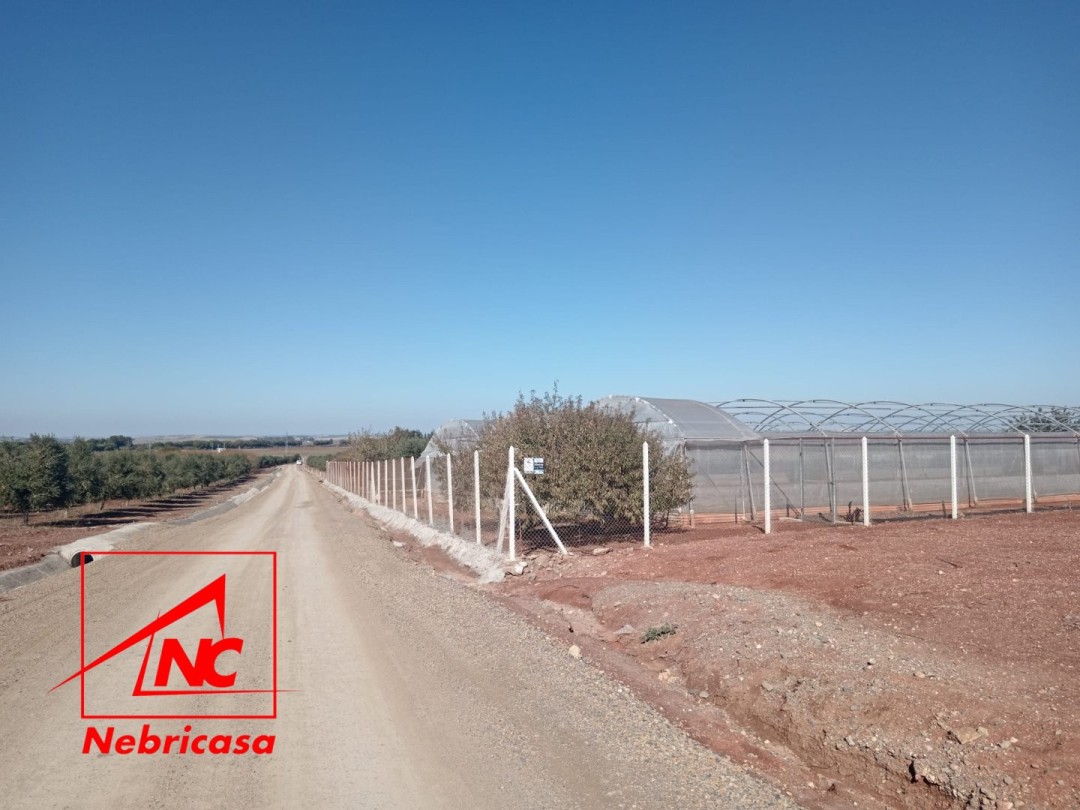 Finca en El Cuervo de Sevilla