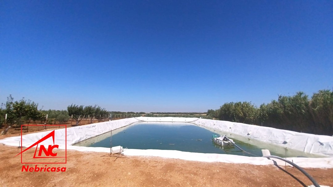 Finca en El Cuervo de Sevilla