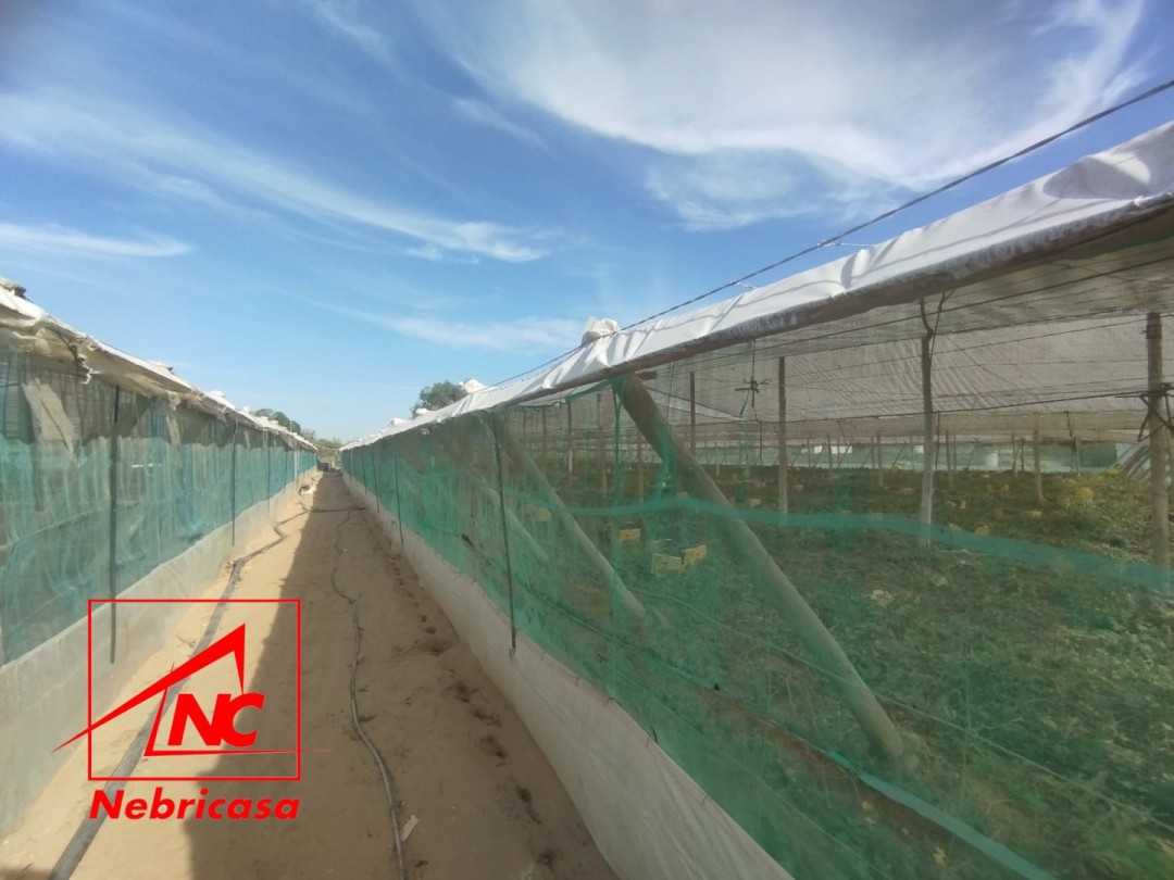 Finca en Chipiona