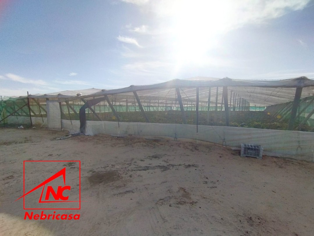 Finca en Chipiona