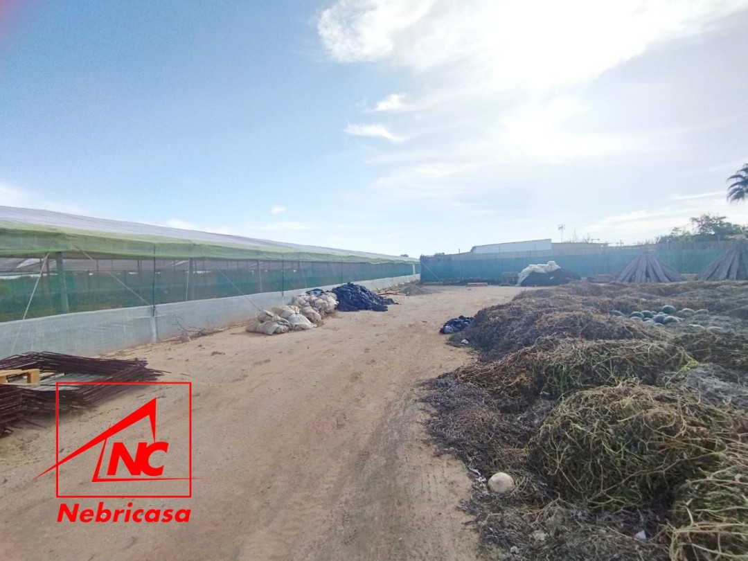 Finca en Chipiona