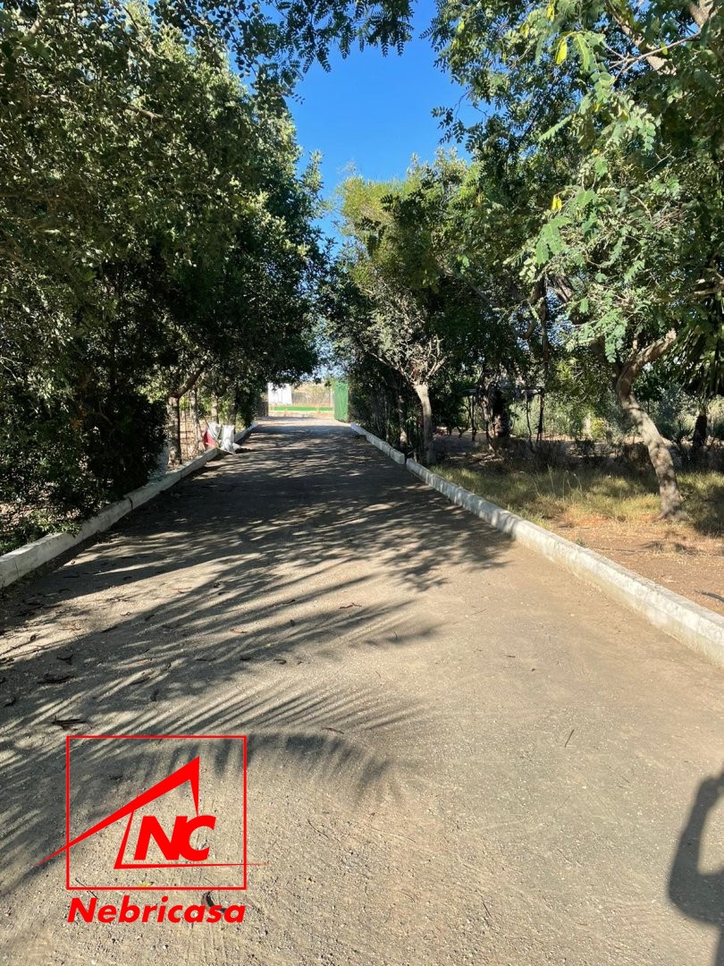 Parcela en Las Cabezas de San Juan
