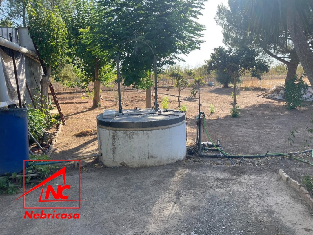 Parcela en Las Cabezas de San Juan