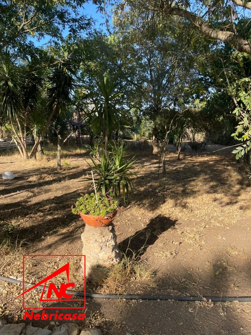 Parcela en Las Cabezas de San Juan