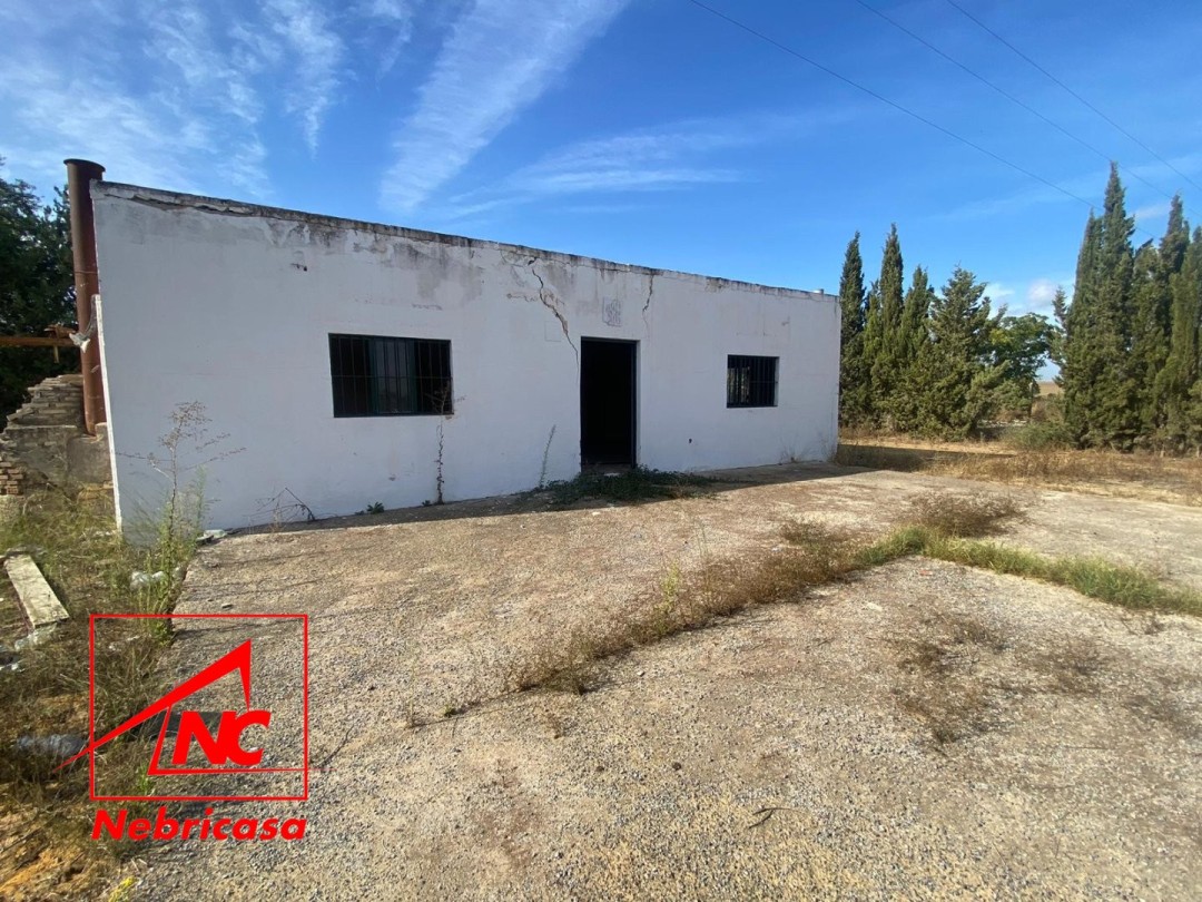 Parcela en Las Cabezas de San Juan