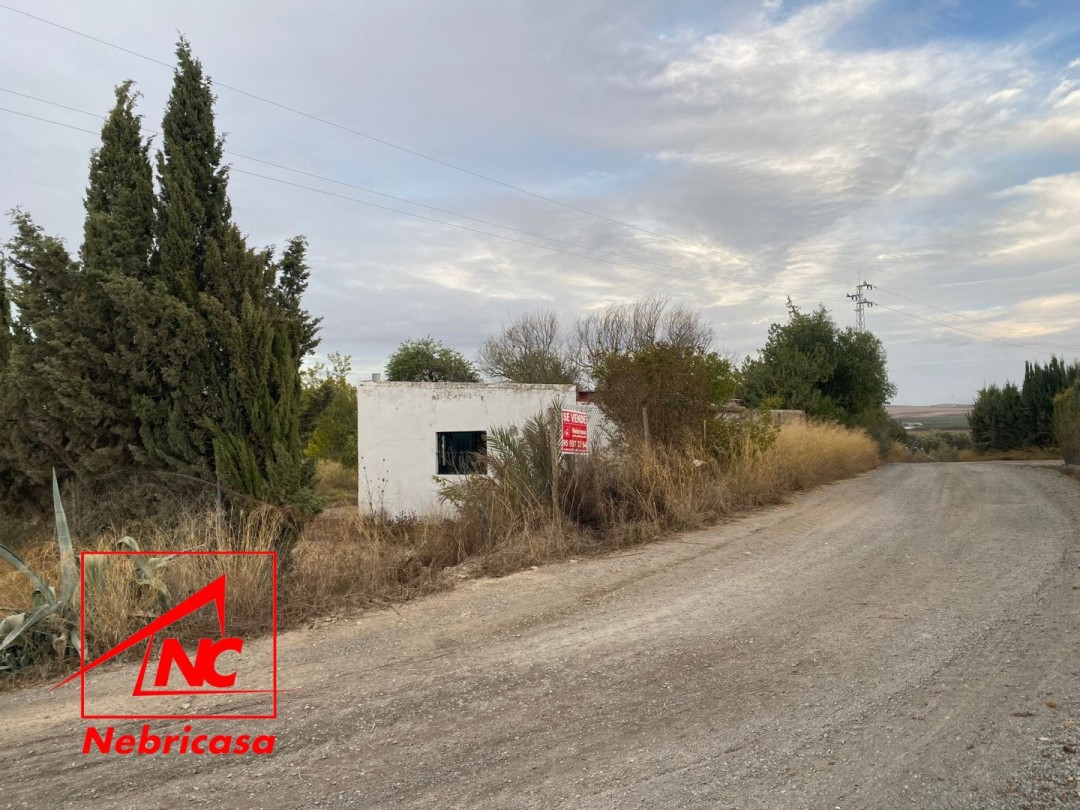 Parcela en Las Cabezas de San Juan