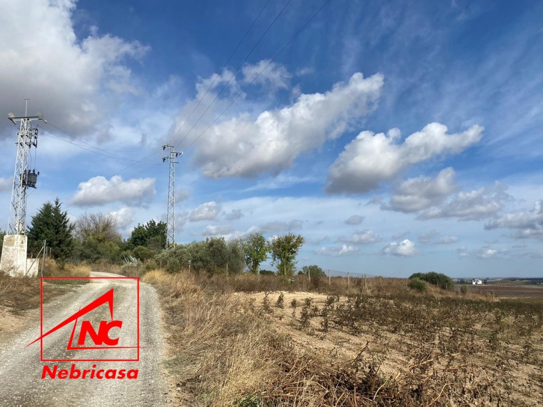 Parcela en Las Cabezas de San Juan