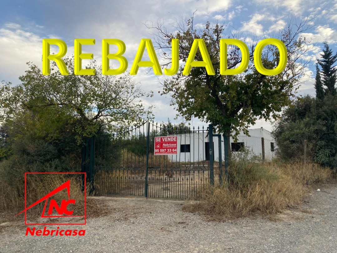 Parcela en Las Cabezas de San Juan