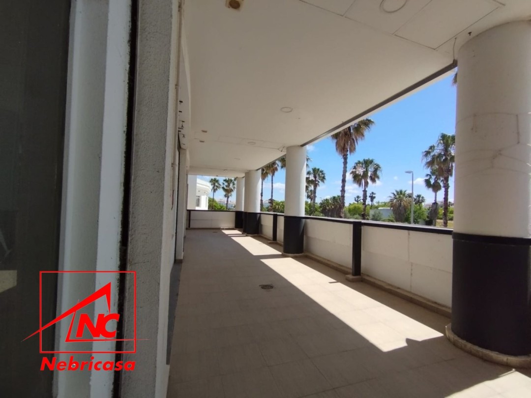 Local Comercial en Rota Costa Ballena Zona Golf