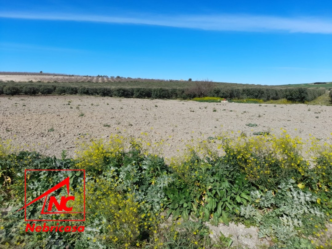 Parcela en Lebrija
