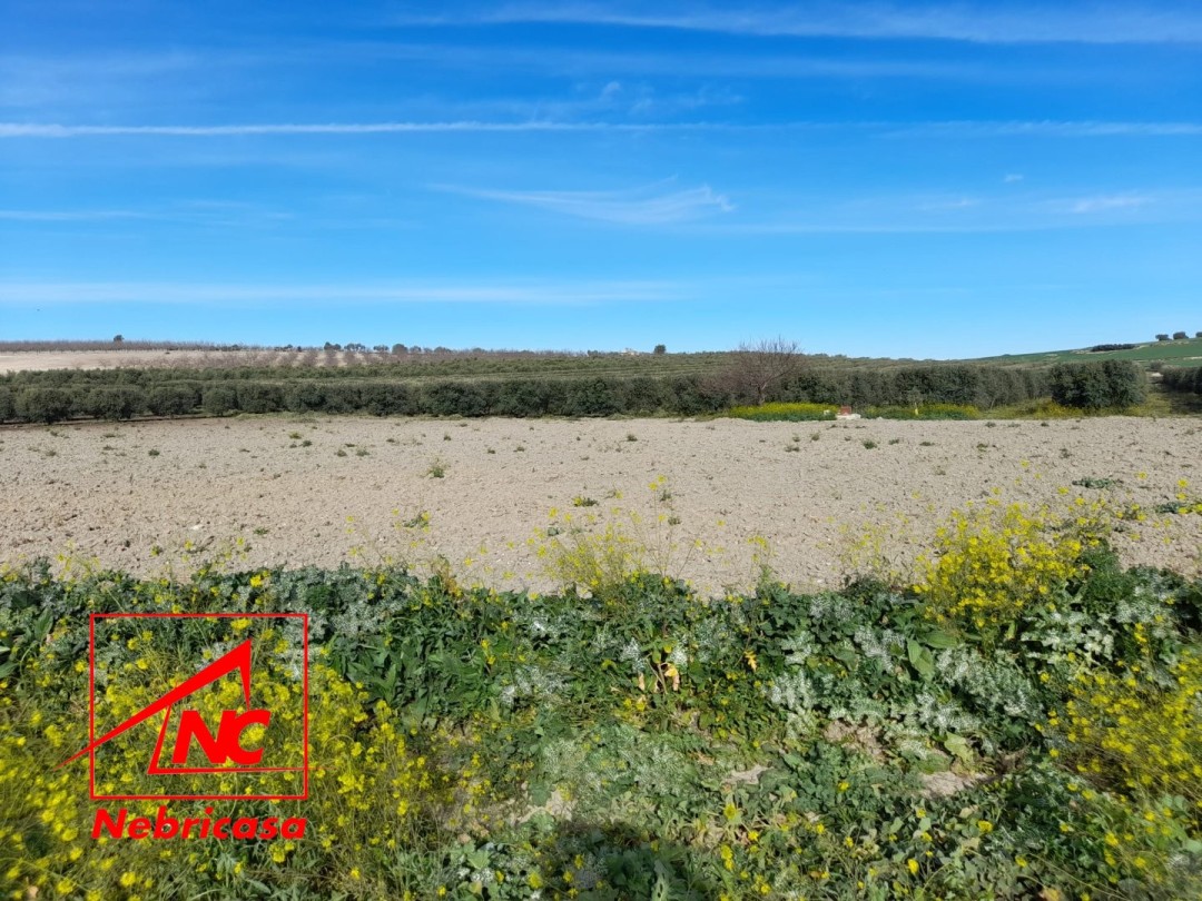 Parcela en Lebrija