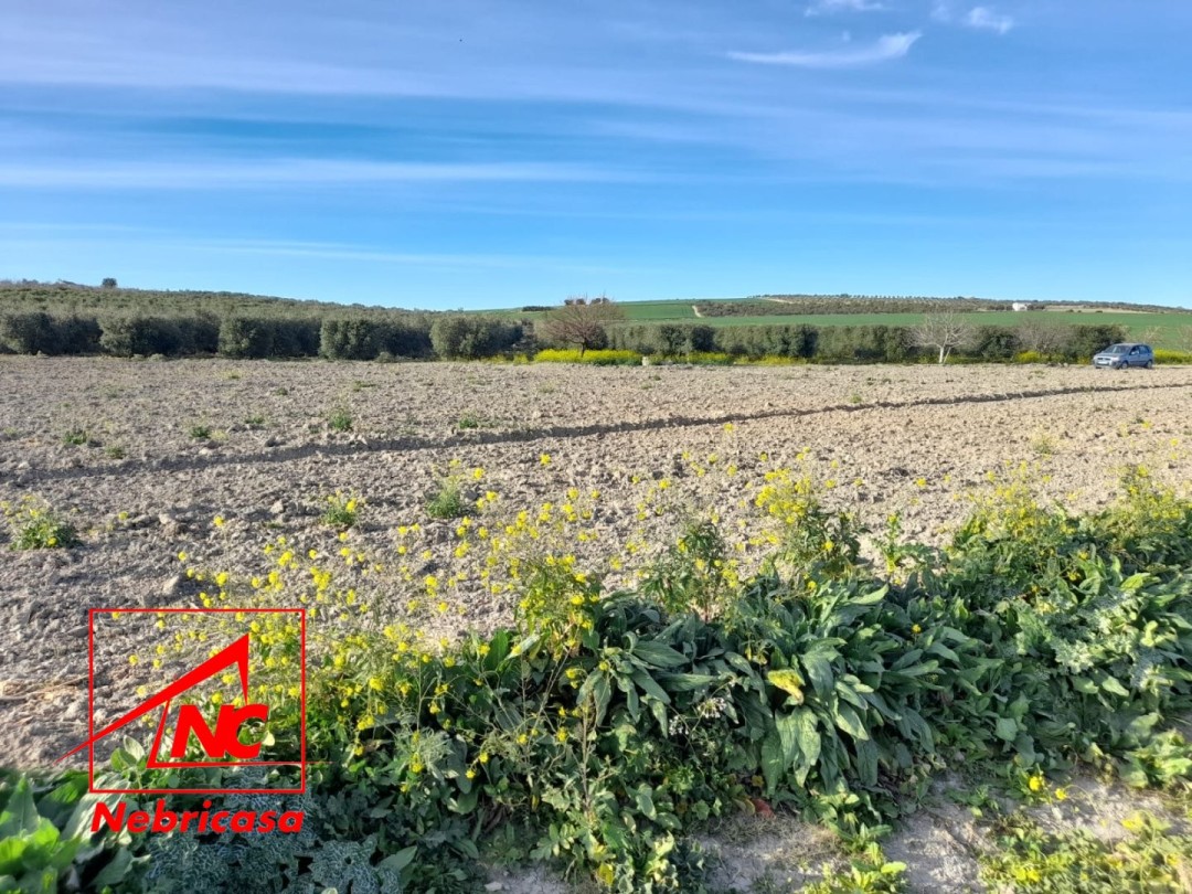Parcela en Lebrija