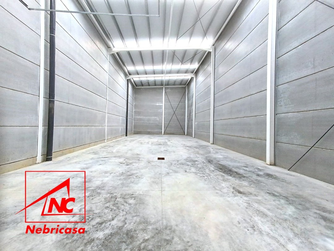 Nave en Lebrija Feria
