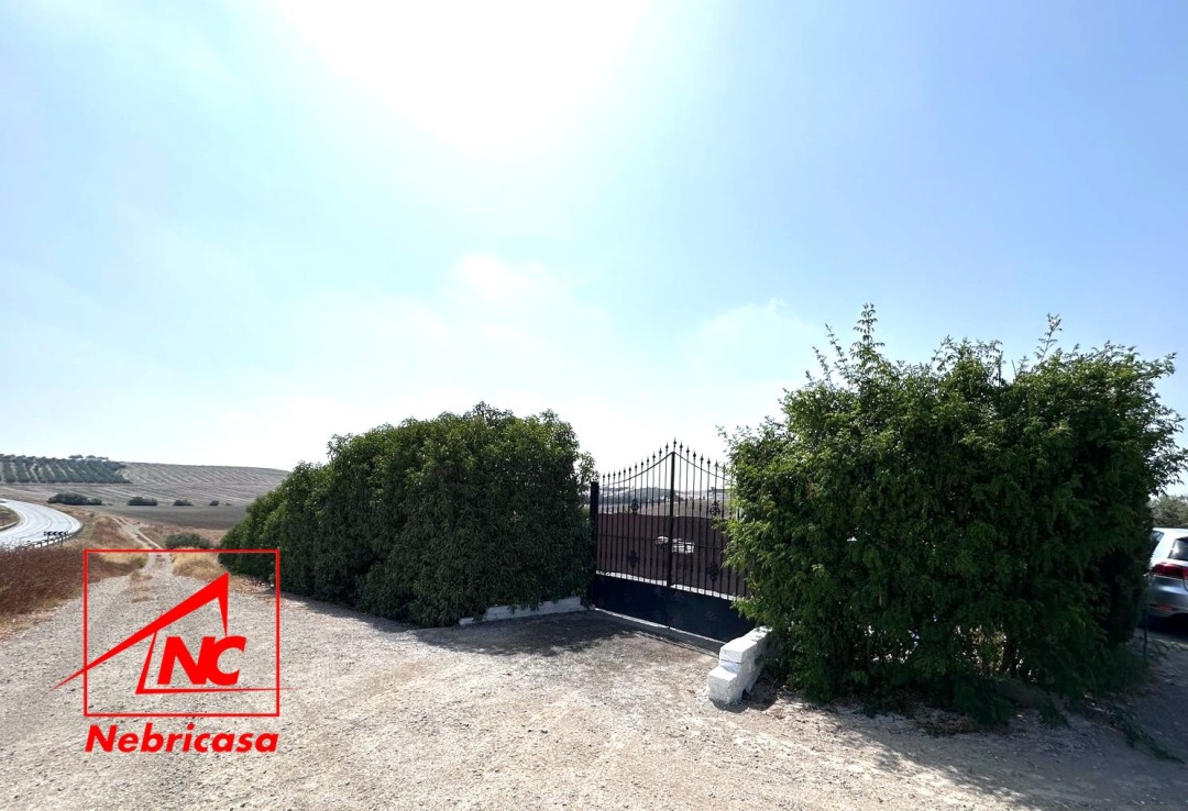 Parcela en Lebrija