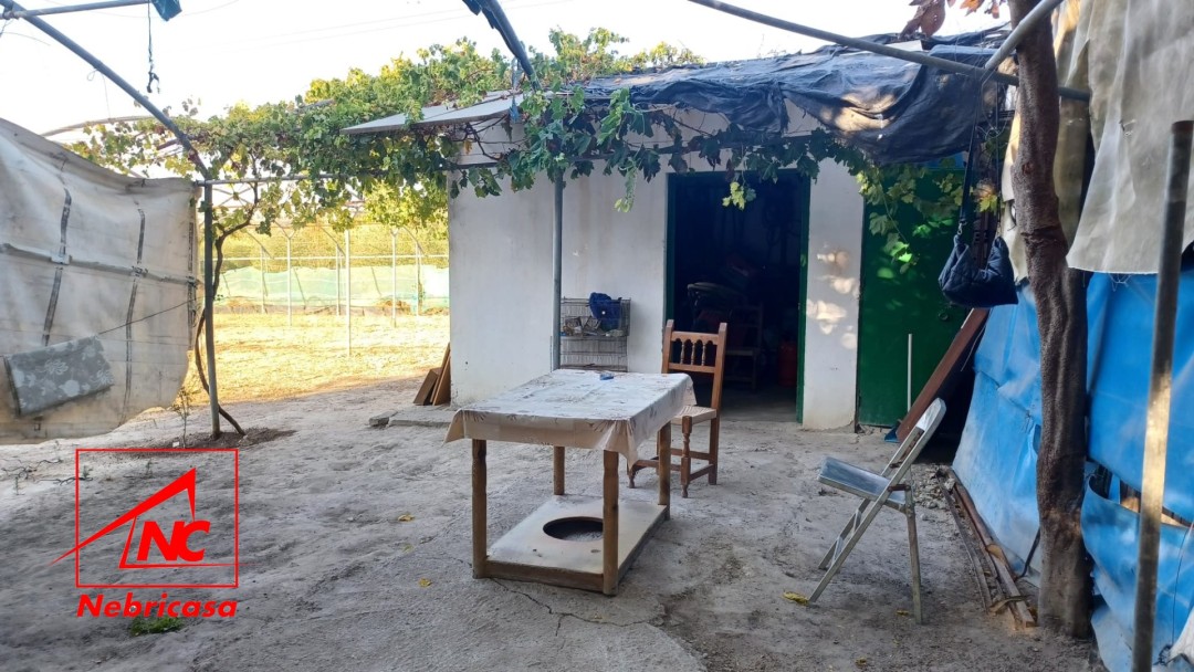 Finca en El Cuervo de Sevilla Bajo Guia