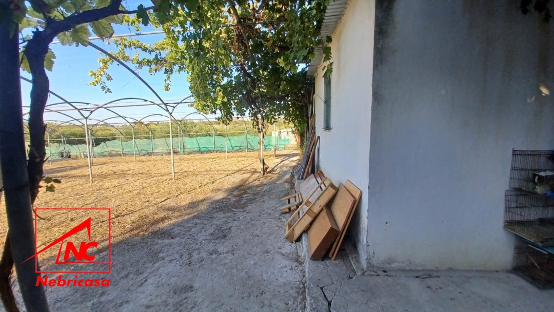Finca en El Cuervo de Sevilla Bajo Guia