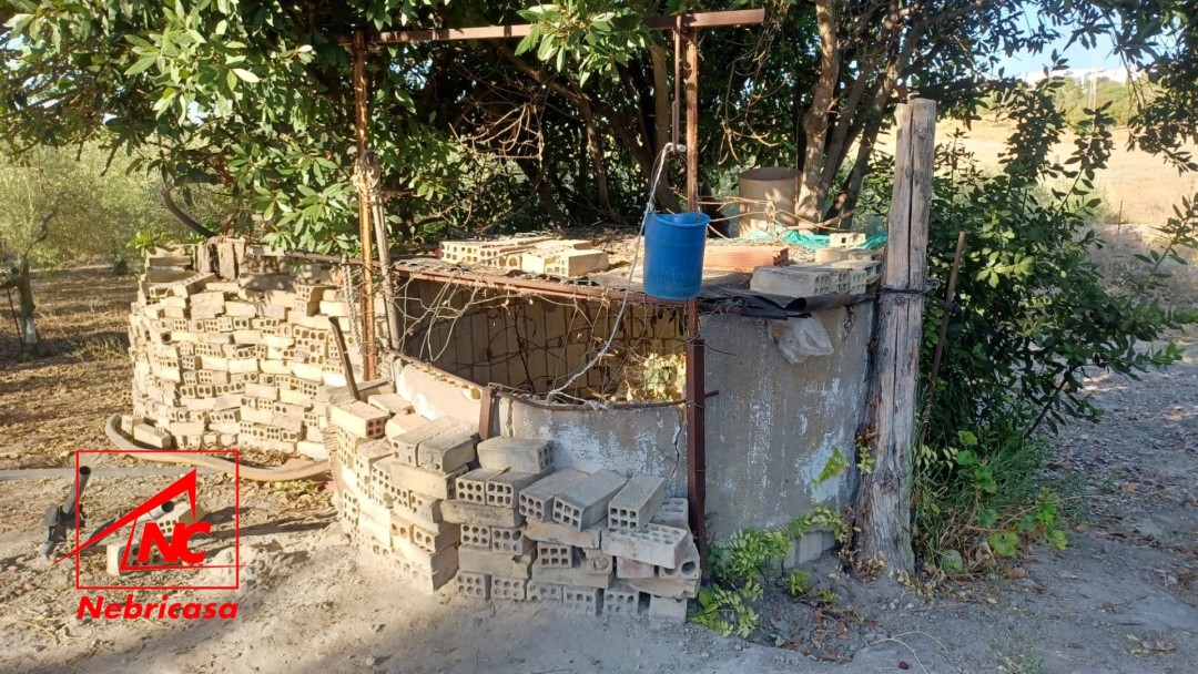 Finca en El Cuervo de Sevilla Bajo Guia