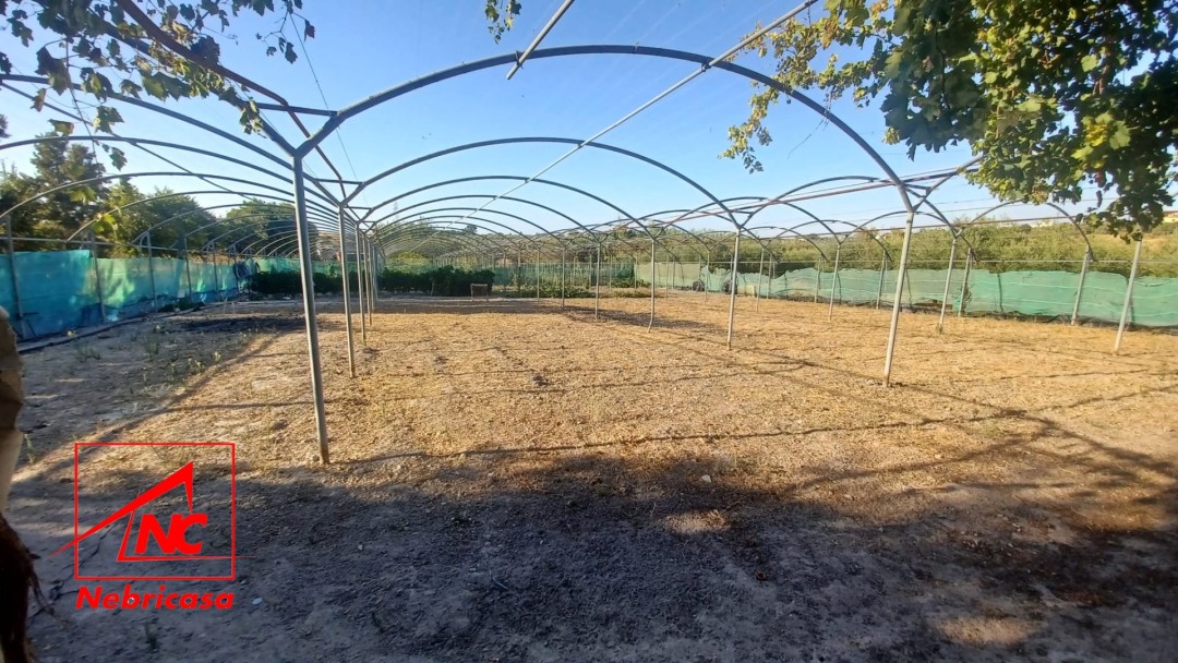 Finca en El Cuervo de Sevilla Bajo Guia