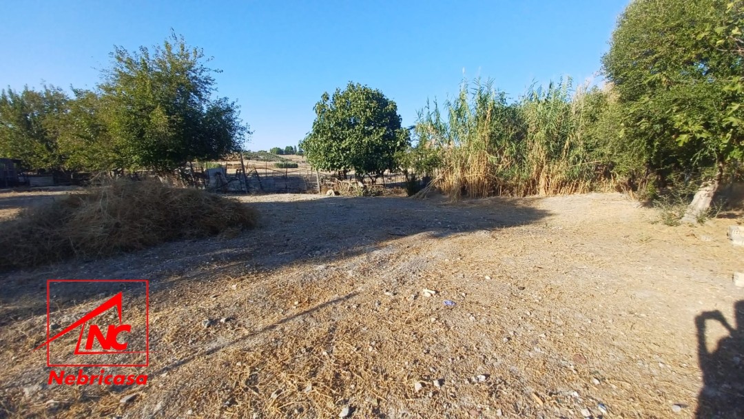 Finca en El Cuervo de Sevilla Bajo Guia