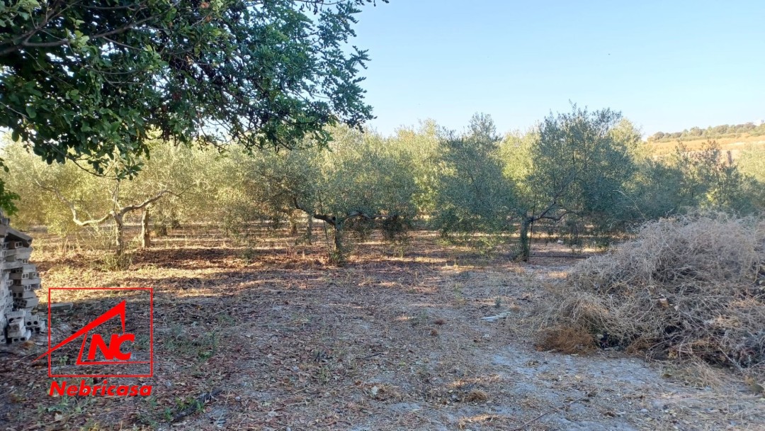 Finca en El Cuervo de Sevilla Bajo Guia