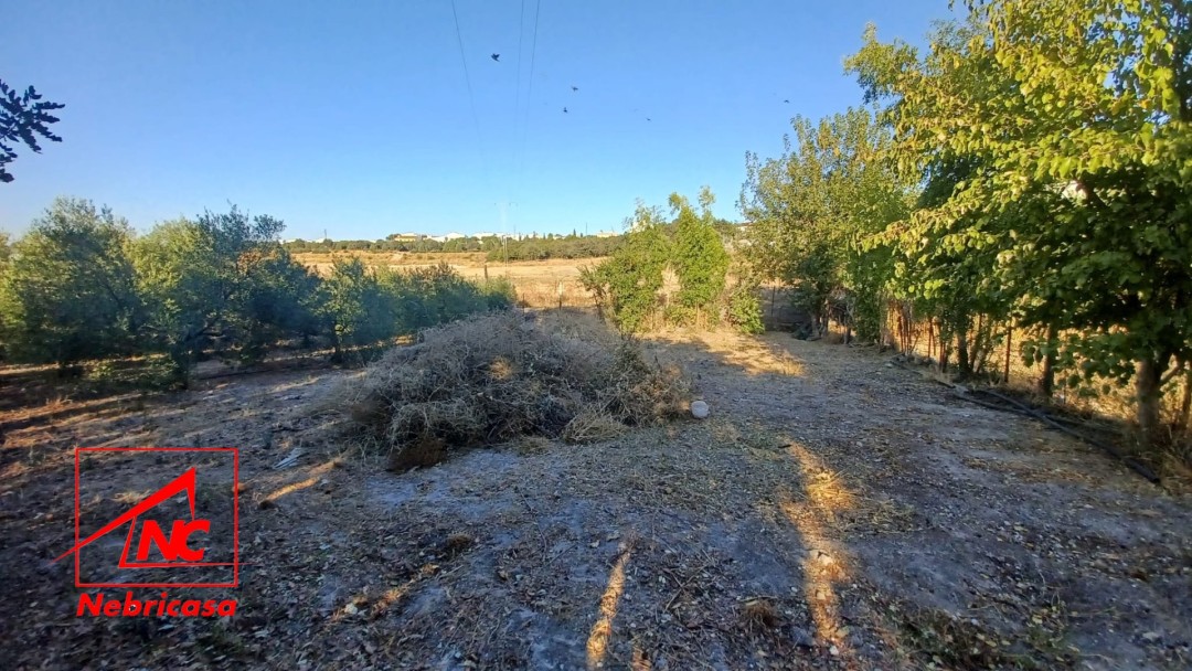 Finca en El Cuervo de Sevilla Bajo Guia