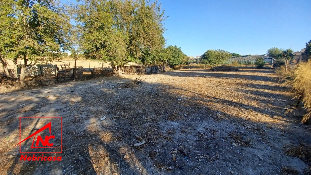 Finca en El Cuervo de Sevilla Bajo Guia