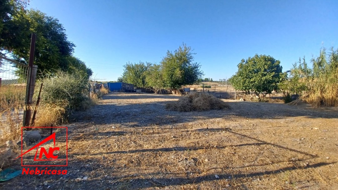 Finca en El Cuervo de Sevilla Bajo Guia