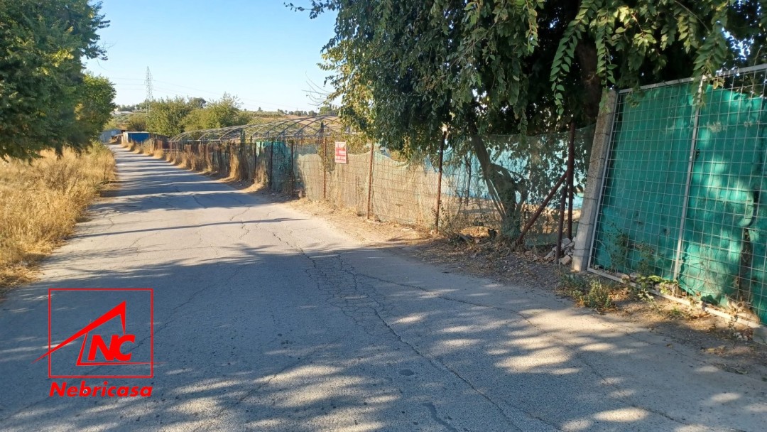 Finca en El Cuervo de Sevilla Bajo Guia