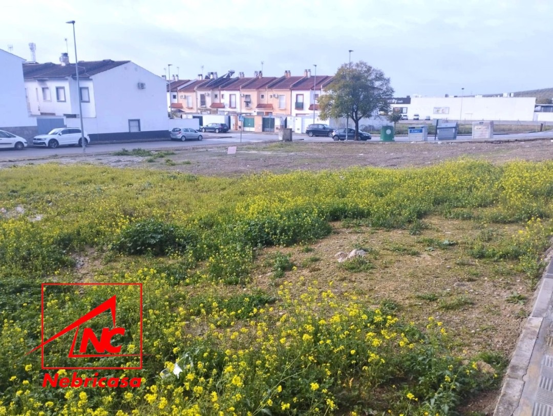 Solar en Lebrija