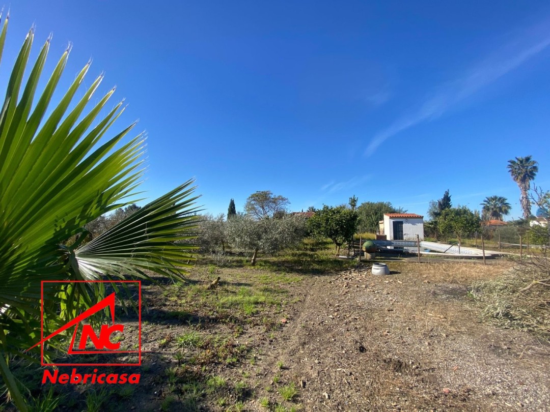 Finca en Las Cabezas de San Juan