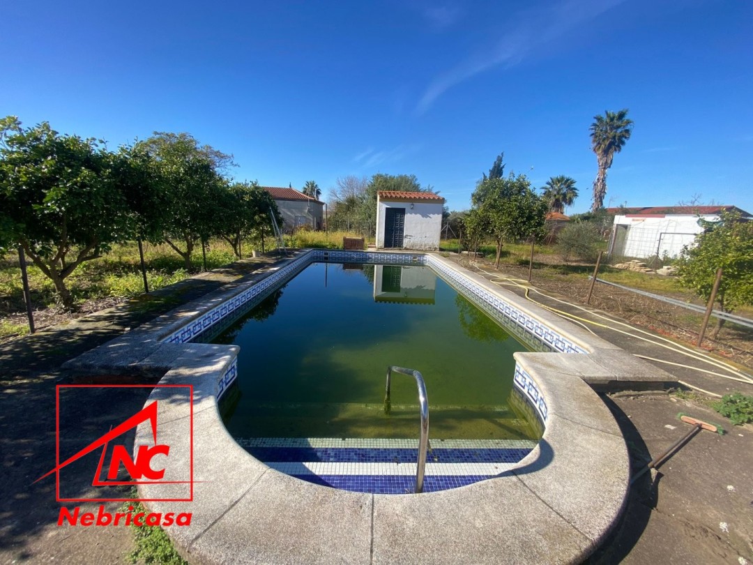 Finca en Las Cabezas de San Juan