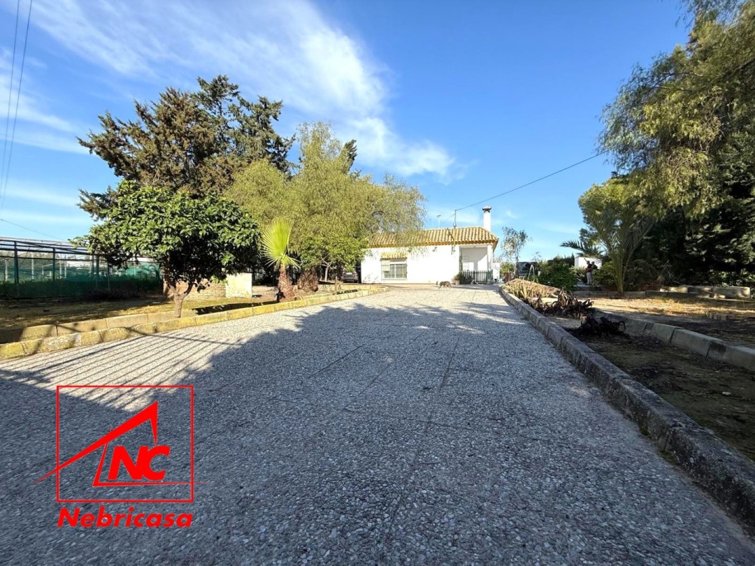 Finca en Lebrija