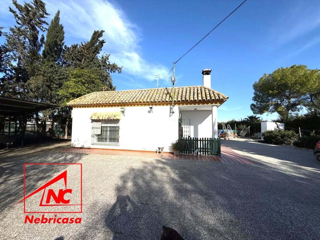Finca en Lebrija