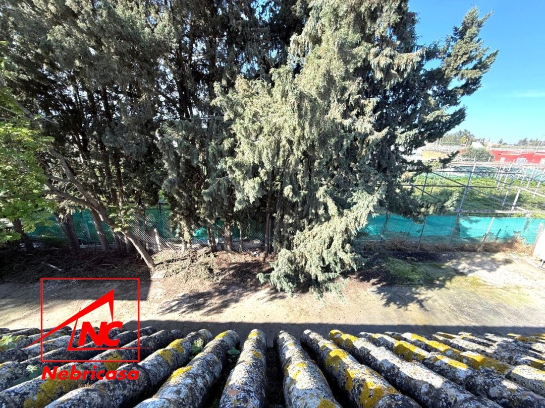 Finca en Lebrija