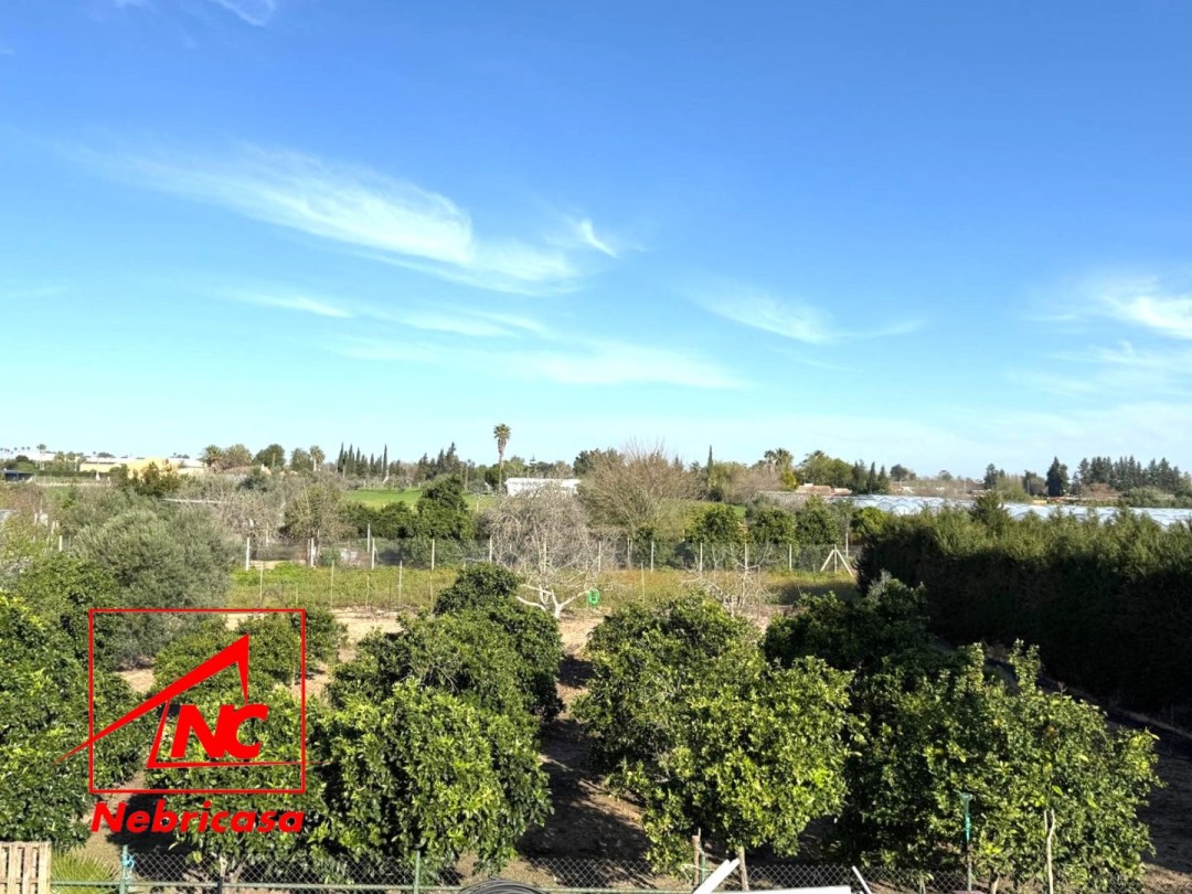 Finca en Lebrija
