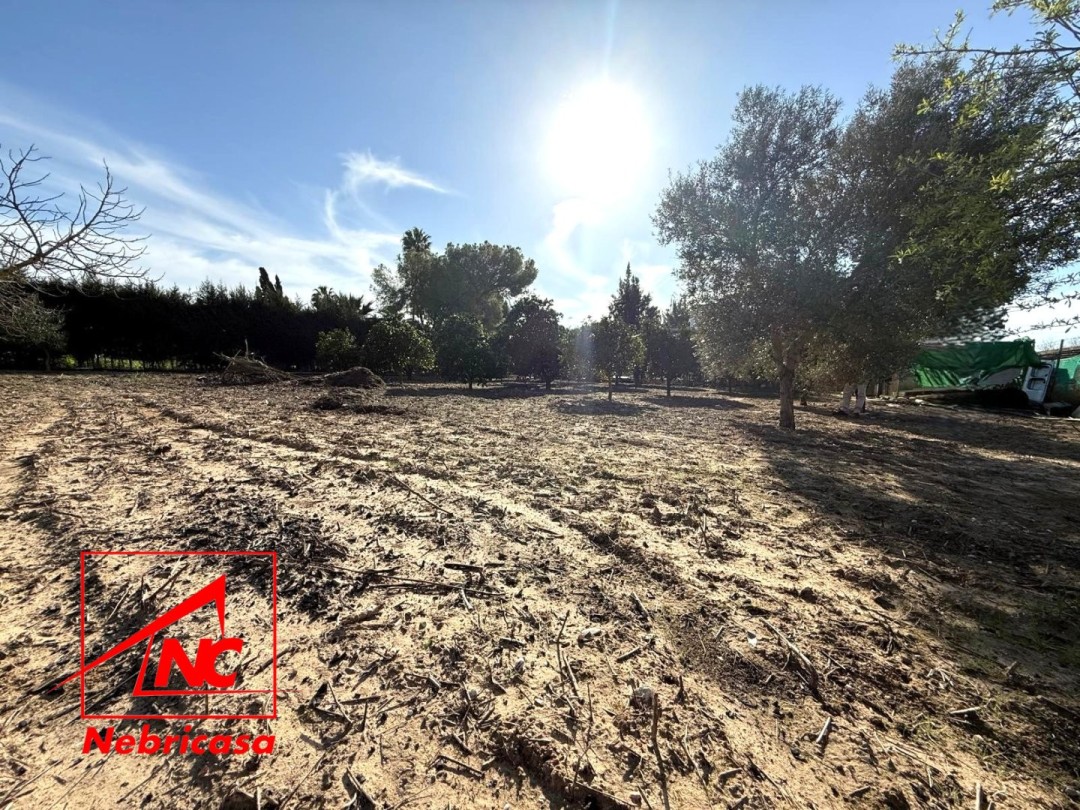 Finca en Lebrija