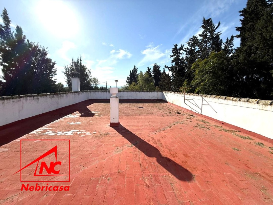 Finca en Lebrija
