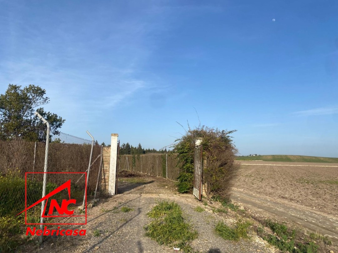 Parcela en Las Cabezas de San Juan Terreno Rústico